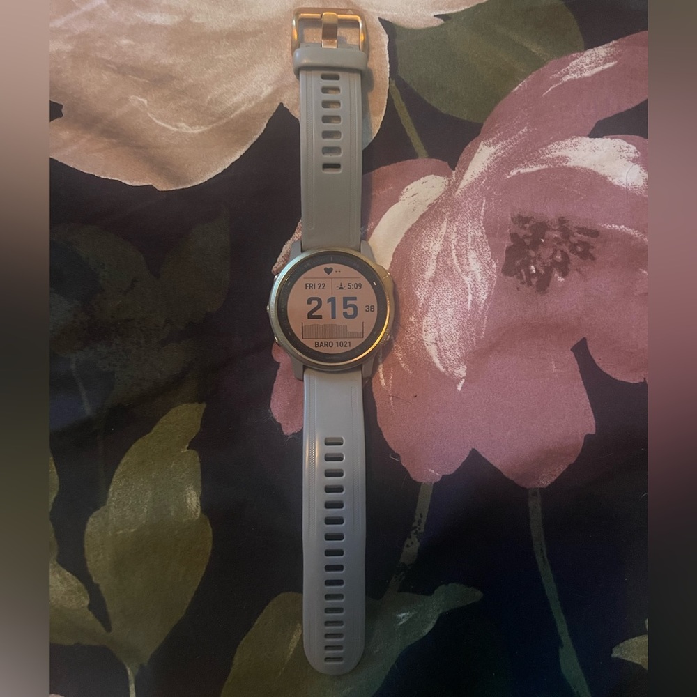 Garmin Fenix 6s Sapphire